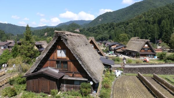 11-Day Alpine Route Tour